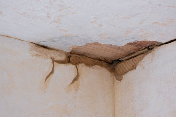 Best Fire Damage Restoration  in Alb, IA