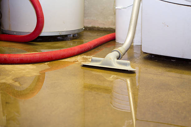 Best 24/7 water damage repair  in Alb, IA