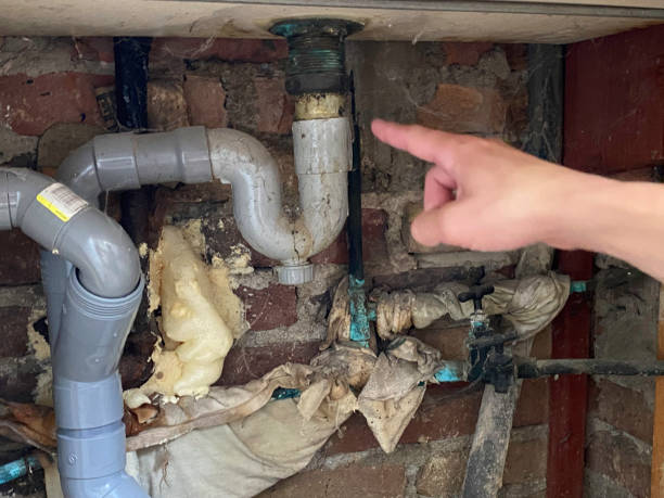 Best Carpet water damage restoration  in Alb, IA