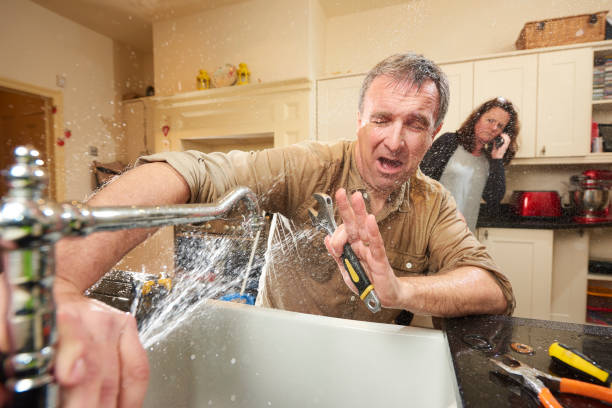 Best Mold removal after water damage  in Alb, IA